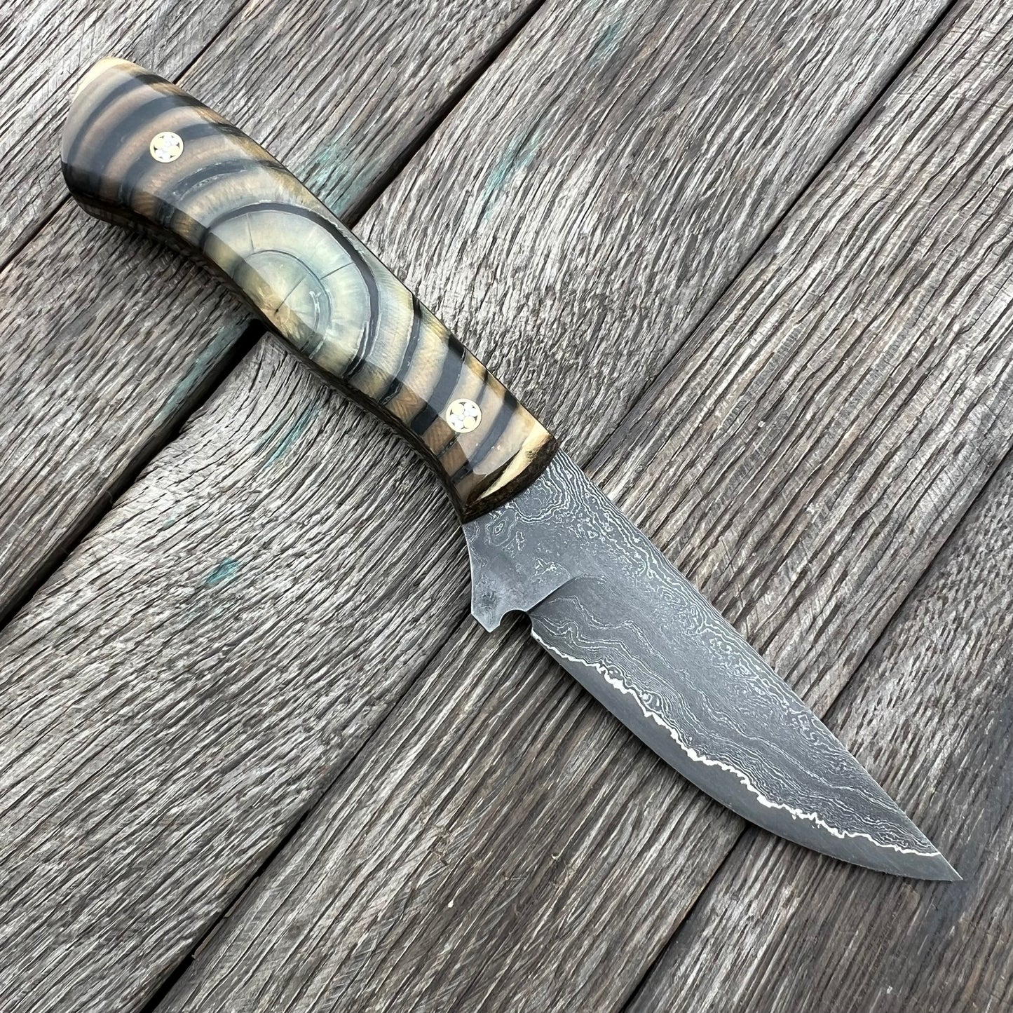 
                  
                    Damascus Fieldmate
                  
                