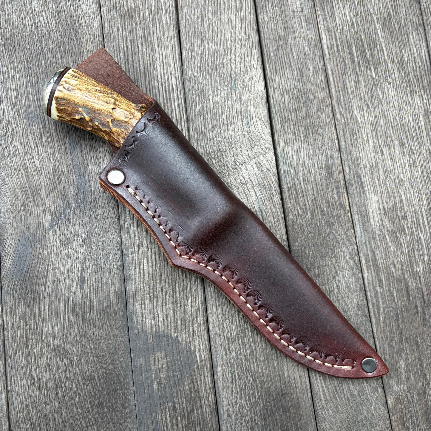 
                  
                    Damascus whitetail hunter
                  
                