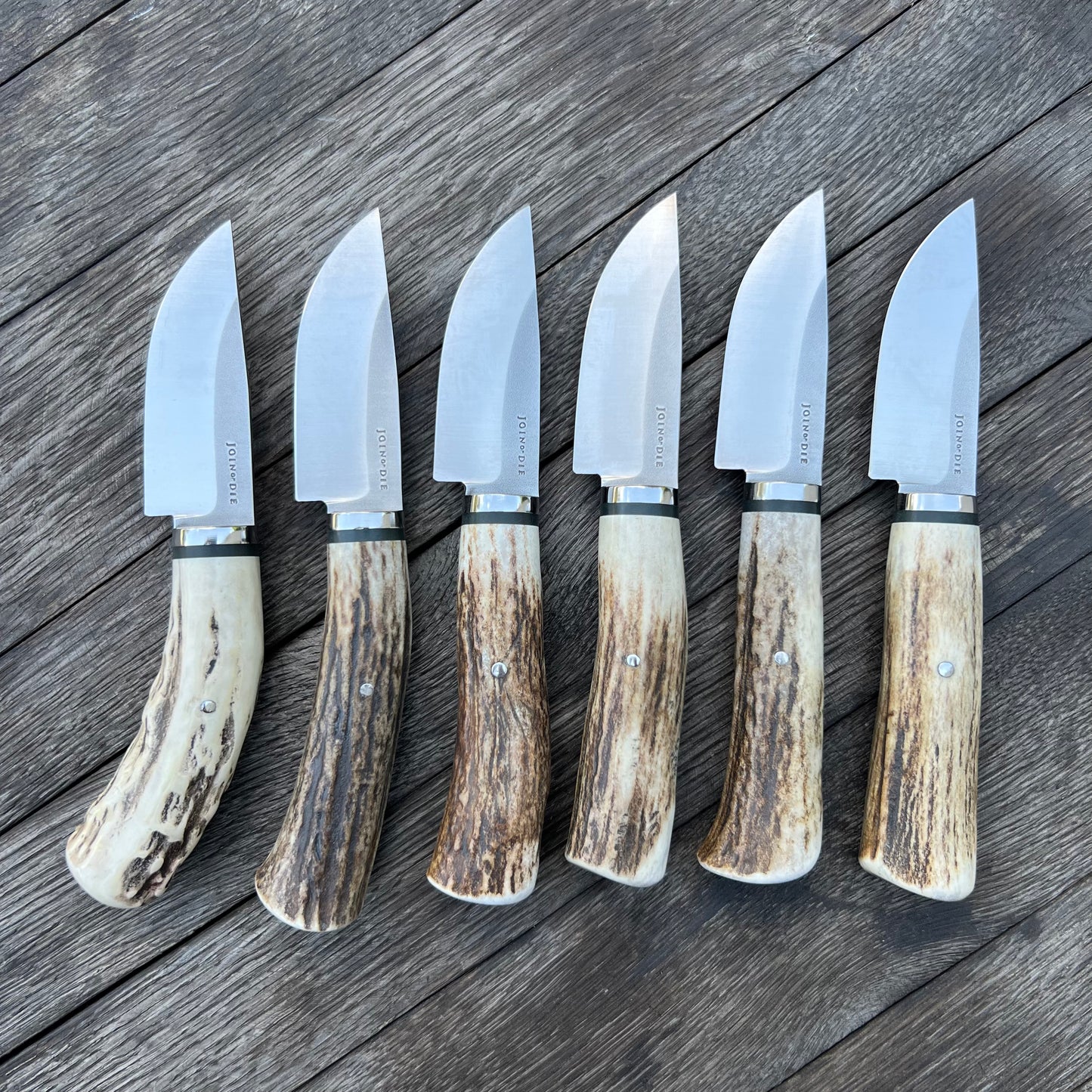 Tobacco Barn Oyster Knife – Join or Die Knives
