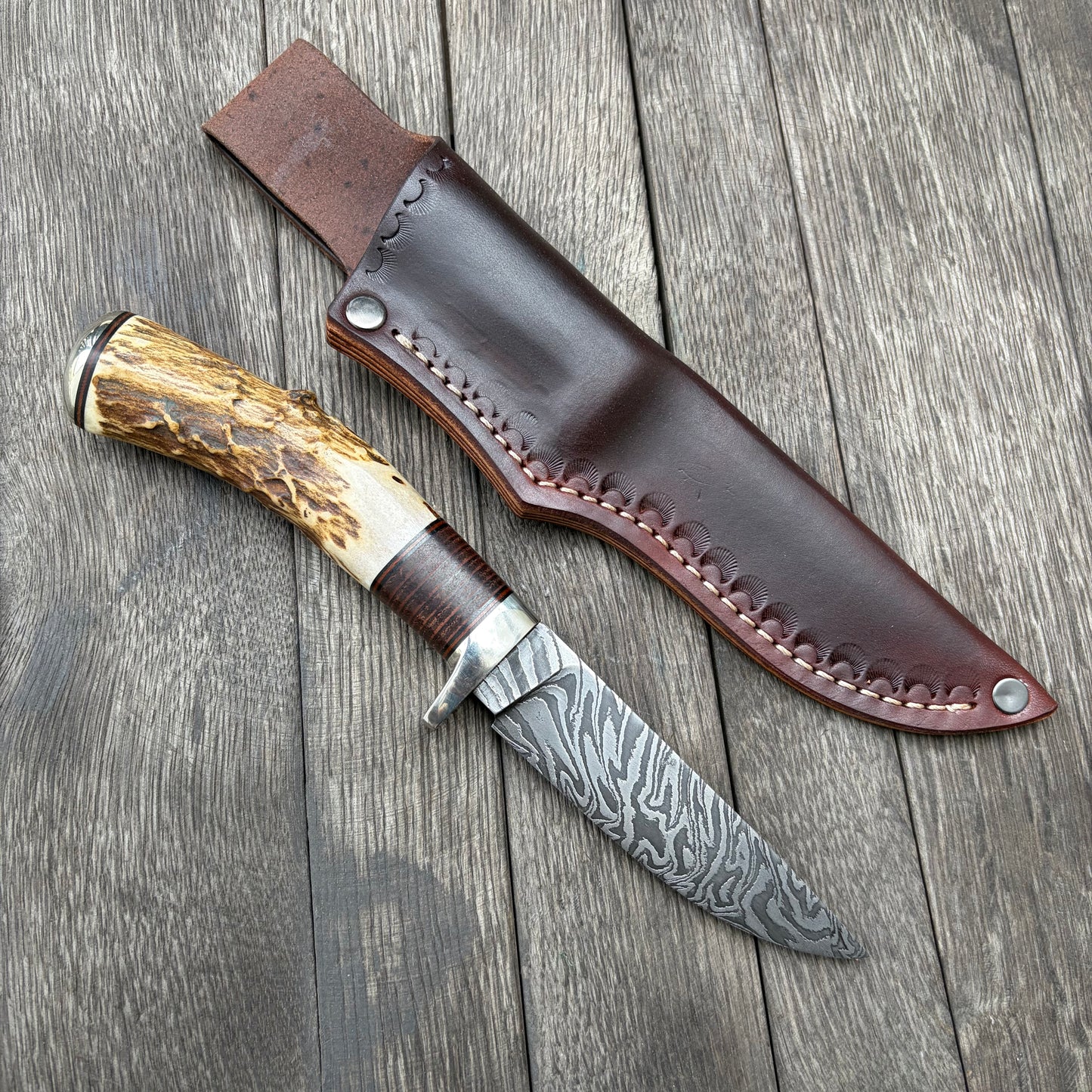 
                  
                    Damascus whitetail hunter
                  
                