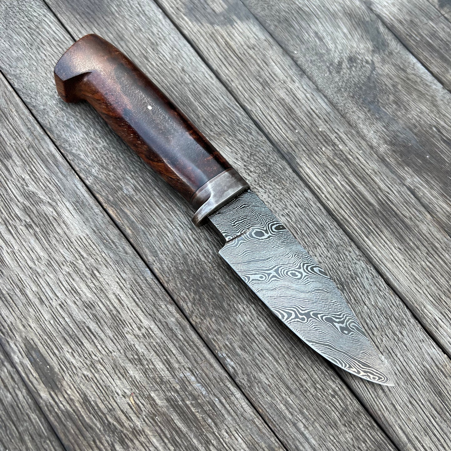 Tobacco Barn Oyster Knife – Join or Die Knives